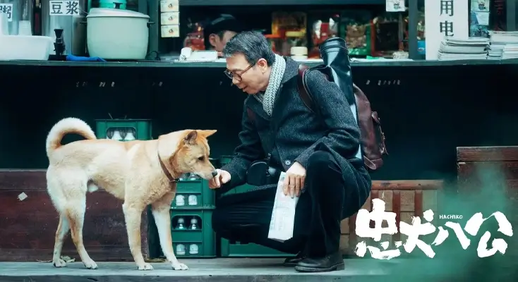 海外怎么看国内的电视剧使用方法